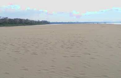 Imagem 14: Linda Ilha com 210 hectares Rio Madeira 63 km de porto velho