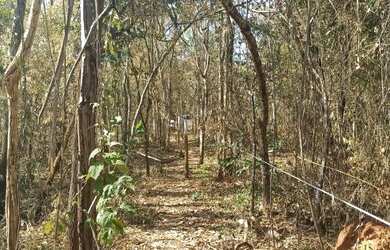 Imagem: O terreno possui 20000m² de Área e está localizado em Jaboticatubas