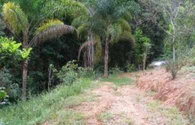 Imagem 9: Terreno à venda, 40000 m² por R$ 250.000,00 - Jardim Verona - Ribeirão...