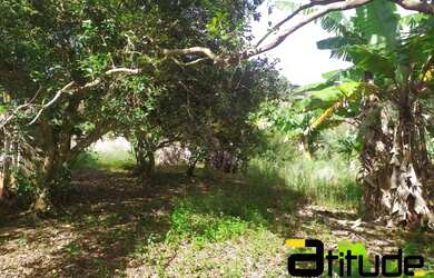 Imagem 4: Terreno a venda em Santana de Parnaíba - Cristal Park III