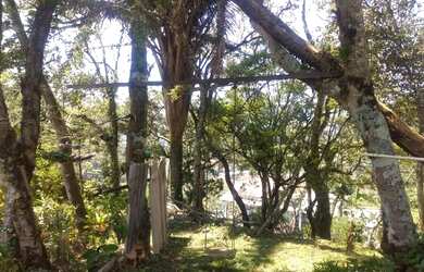 Imagem 3: Terreno para venda com 700 metros quadrados em Quitandinha - Petrópolis...