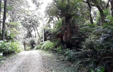 Imagem: O terreno possui 7.620m² de Área e está localizado em Canela