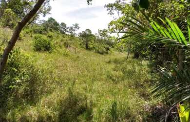 Imagem 2: Lote/Terreno para venda com 187 metros quadrados em RURAL - Entre Rios...