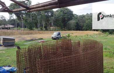 Imagem 6: Terreno localizado Av. das Floresta ,Murado, tamanho 11.600m²