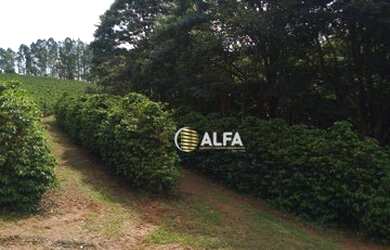 Imagem 14: Fazenda à venda, 39 alqueires por R$ 5.000.000 - Rural - Machado/MG