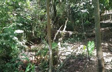 Imagem 6: Terreno - Atibaia. 1m² de Área