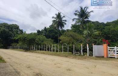 Imagem 4: Ilhéus - Fazenda - Iguape