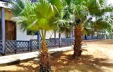 Imagem 5: Fazenda de 4520 em Arinos MG