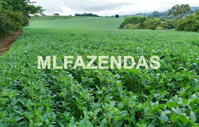 Imagem 11: Fazenda em Turvelândia MG 81,6 alqueires ou 197,47 ha, 80 aproveitável