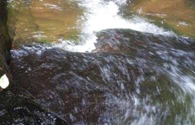 Imagem 1: Terreno à venda, 40000 m² por R$ 250.000,00 - Jardim Verona - Ribeirão...