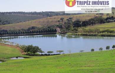 Imagem 7: Fazenda Espetacular em Jaguariúna / SP com 35 alqs FAZ 338