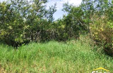 Imagem 4: Lote/Terreno para venda possui 370 metros quadrados em Lomba Grande -...