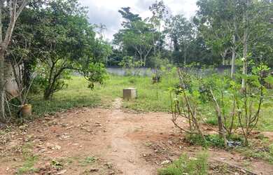 Imagem 6: Casa em itaipuaçu com área de 1500 metros quadrados de lote