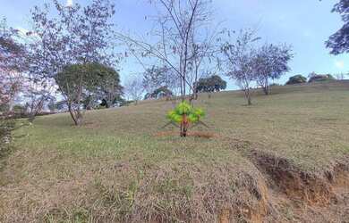 Imagem 3: Terreno à venda, 5.040 m² por R$ 450.000 - Simão Pereira - Simão Pereira/MG