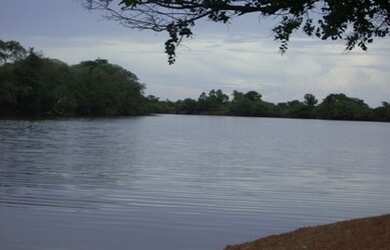 Imagem 10: Fazenda 83.346 Hectares em Mato Grosso - São Felix