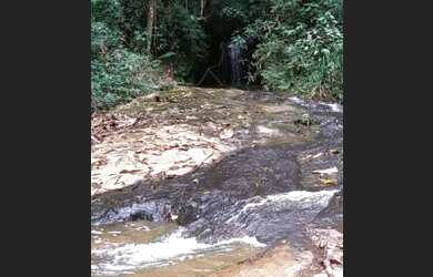 Imagem 3: Terreno à venda, 40000 m² por R$ 250.000,00 - Jardim Verona - Ribeirão...