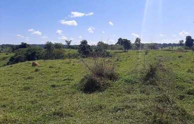 Imagem 4: .. Uma Excelente Fazenda 59 alqueires 42 km do município de Porto Nacional TO