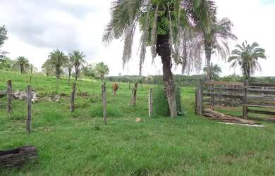 Imagem 6: FAZENDA A VENDA À APENAS 18 km DE JANDÁIA Fazenda à Venda, 410966.00...