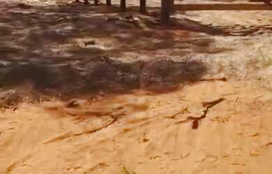 Imagem 2: Vende-se uma excelente fazenda de 1.100 hectares