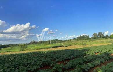 Imagem 12: área - Betel - Paulínia