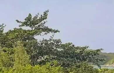 Imagem 12: Casa com 8 dormitórios à venda, 380 m² por R$ 1.700.000,00 - Piratininga...