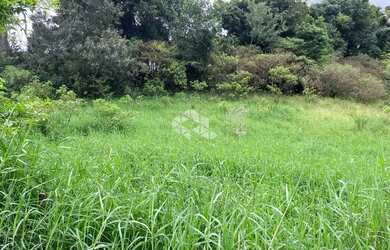 Imagem 5: Excelente terreno próximo ao centro