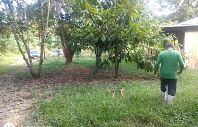 Imagem 5: Sítio Promoção km 26. 25m² de Área