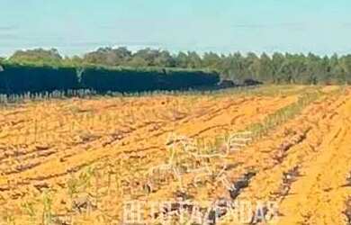 Imagem 6: Imóvel para venda possui 857000 metros quadrados em Centro - Matias Cardoso...