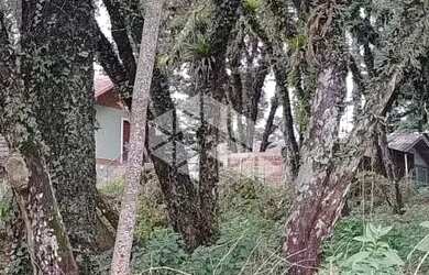 Imagem 13: terrebo de esquina com 1084m² Canela