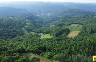 Imagem 4: Sítio / Chácara para Venda em Nova Petrópolis, Linha Olinda, 3 dormitórios,...