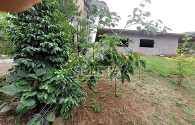 Imagem 11: Chácara no alagado em Boa Vista da Aparecida proximo a Usina de Salto Caxias