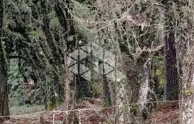 Imagem 2: terrebo de esquina com 1084m² Canela