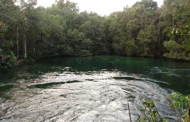 Imagem 5: Oportunidade Fazenda Campo Novo Do Parecis
