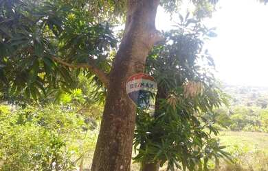 Imagem 3: Excelente Casa com 4 dormitórios, 216 m² - venda por R$ 300.000 ou aluguel...