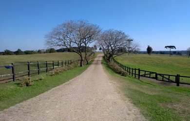 Imagem: A fazenda possui 1064800m² de Área e está localizado em Ipê