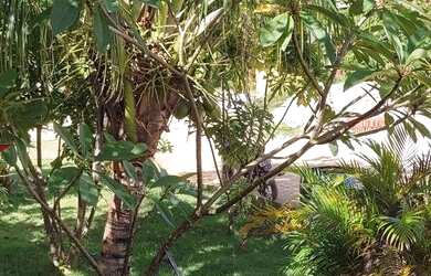 Imagem 1: Casa águas de Sauípe. Piscina, Churrasqueira, Imóvel mobiliadoeAr-condicionado