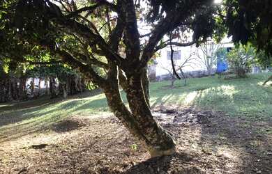 Imagem 2: Vendo Casa no Condomínio - Arujazinho 3 Aruja - SP