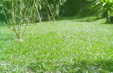 Imagem 5: Aluga para fins de semana