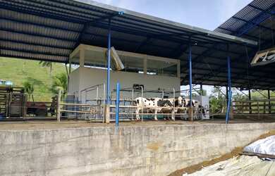 Imagem: A fazenda está localizado em Papucaia, Cachoeiras de Macacu