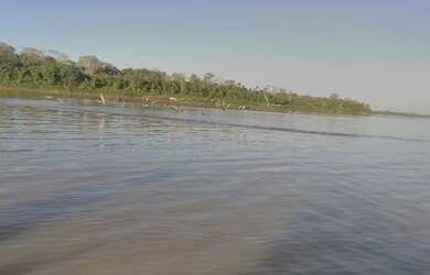 Imagem 13: Linda Ilha com 210 hectares Rio Madeira 63 km de porto velho