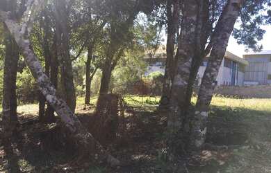 Imagem: O terreno possui 802m² de Área e está localizado em Gramado