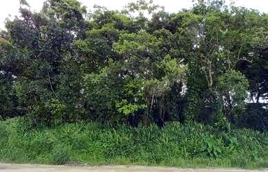 Imagem: Ótimo lote com oportunidade para comércios em Itanhaém-SP