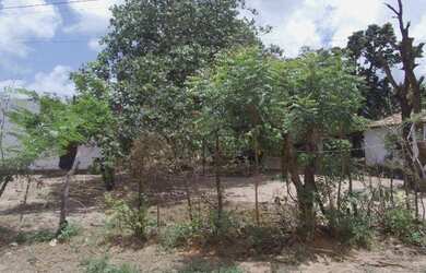 Imagem 4: Terreno à venda, 4000 m² por R$ 220.000 - Jardins - São Gonçalo do...