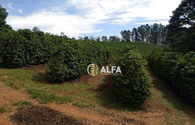 Imagem 5: Fazenda à venda, 39 alqueires por R$ 5.000.000 - Rural - Machado/MG