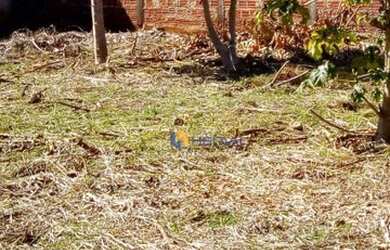 Imagem 7: Terreno à venda, 300 m² por R$ 310.000,00 - Jardim Catedral - Maringá/PR