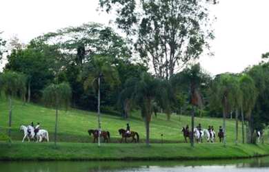Imagem 8: Casa de luxo Quinta da Baroneza