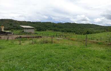 Imagem 7: Fazenda para Venda em Santa Cruz de Goiás, Zona Rural