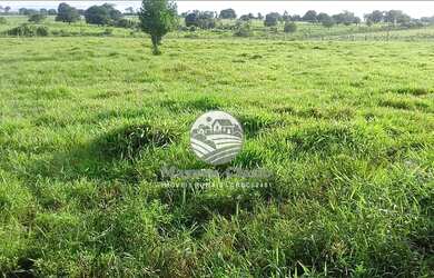 Imagem: Alto Paraíso - Sítio - 42 alqueires