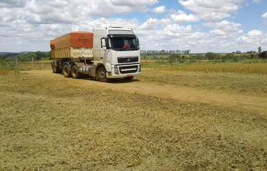Imagem 7: FAZENDA PRODUTIVA COM 472HECTARES, HA 55KM DE UNAI