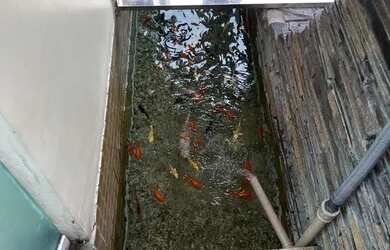 Imagem 15: Belíssima casa Cond. Renaissance